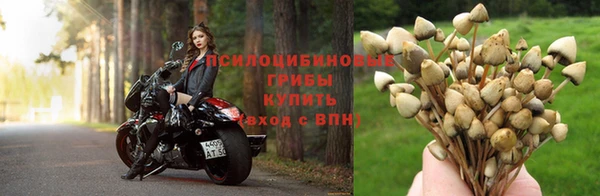 кокс Абинск