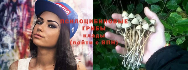 прущий лед Абдулино