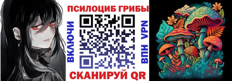 Галлюциногенные грибы мицелий  магазин    Камышлов 